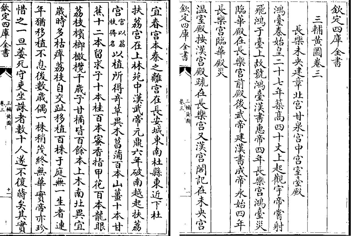 免费A片
