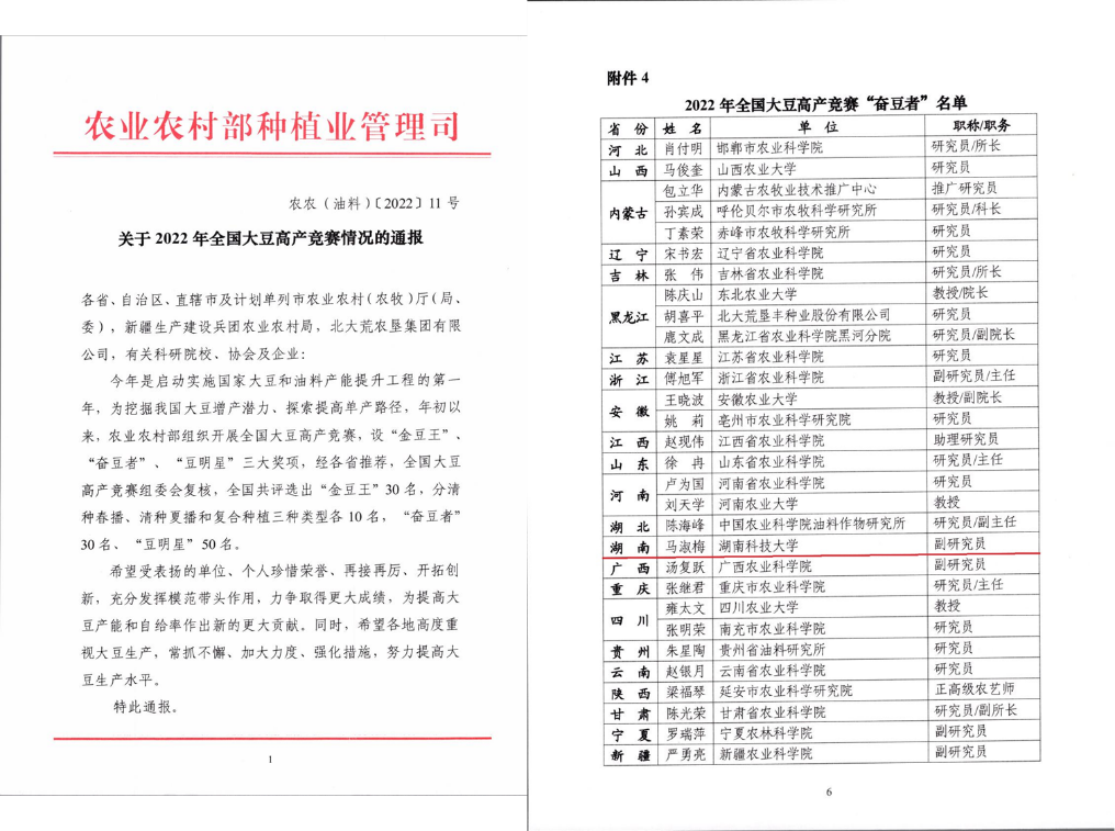 免费A片