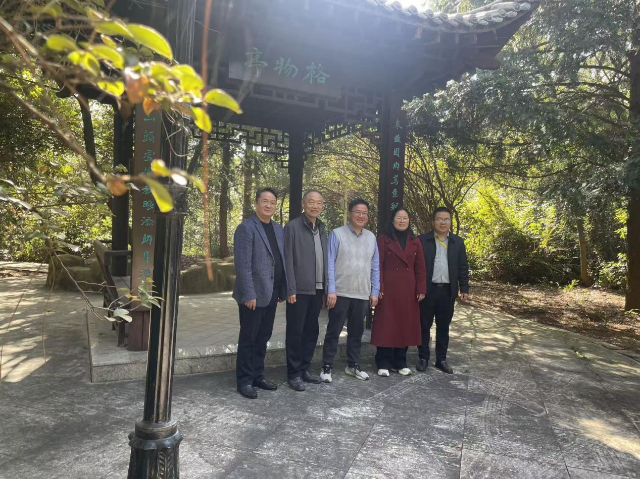 免费A片